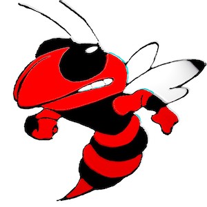 Crystal City High School logo